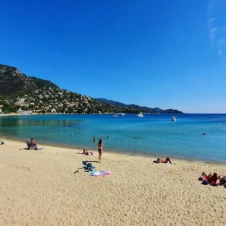 Cozy With Sea View, In * Le Lavandou